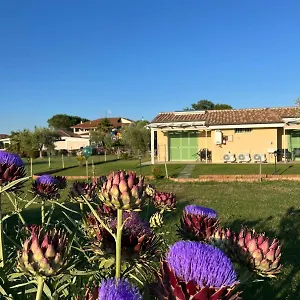 Il Giardino Di Nunzia , Principina Terra Italia